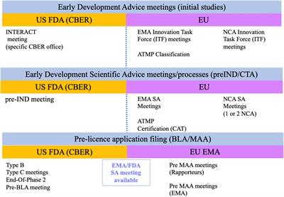 A Regulatory Risk-Based Approach to ATMP/CGT Development: Integrating Scientific Challenges With Current Regulatory Expectations